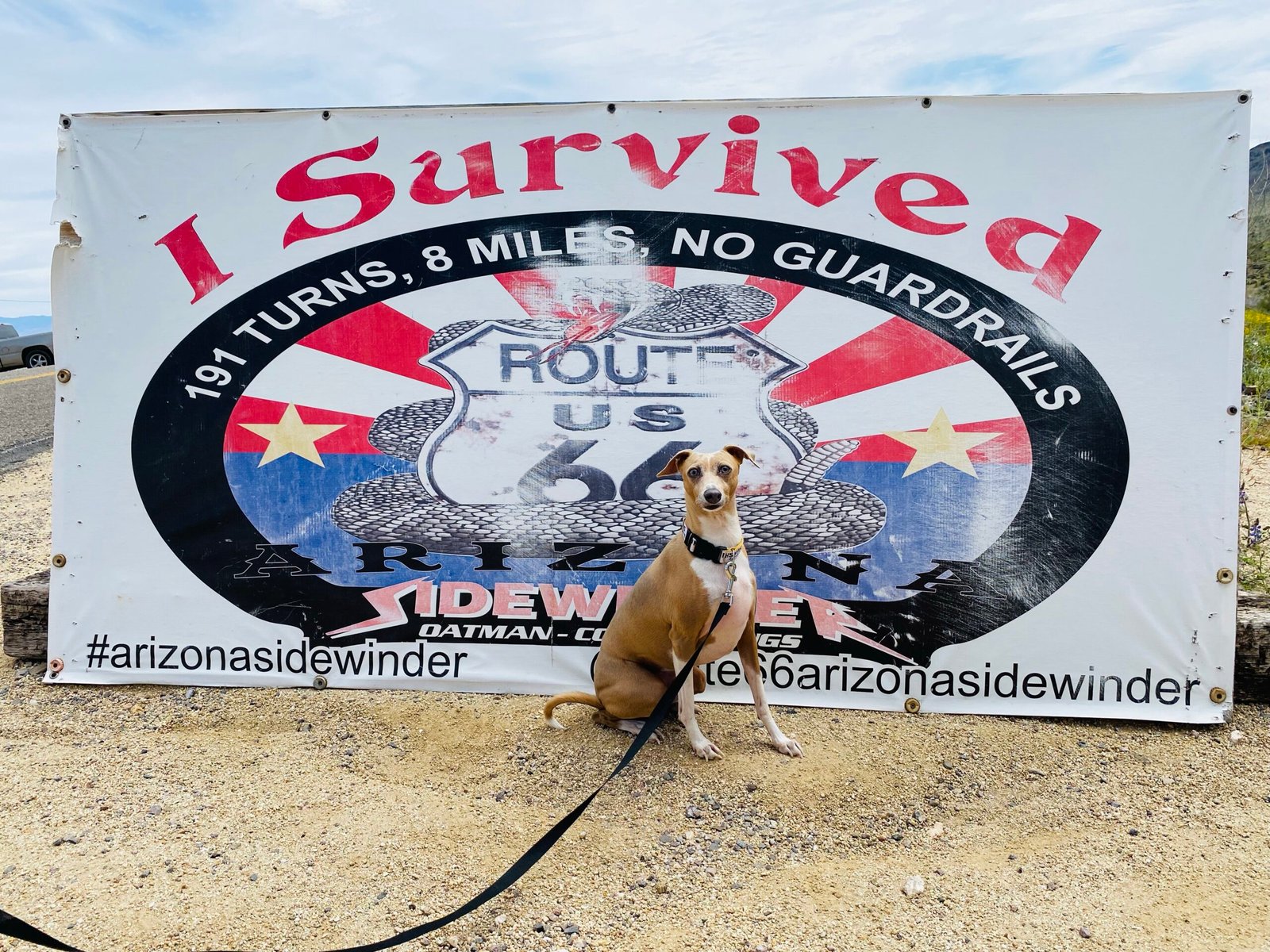 Gallery: Route 66, Arizona