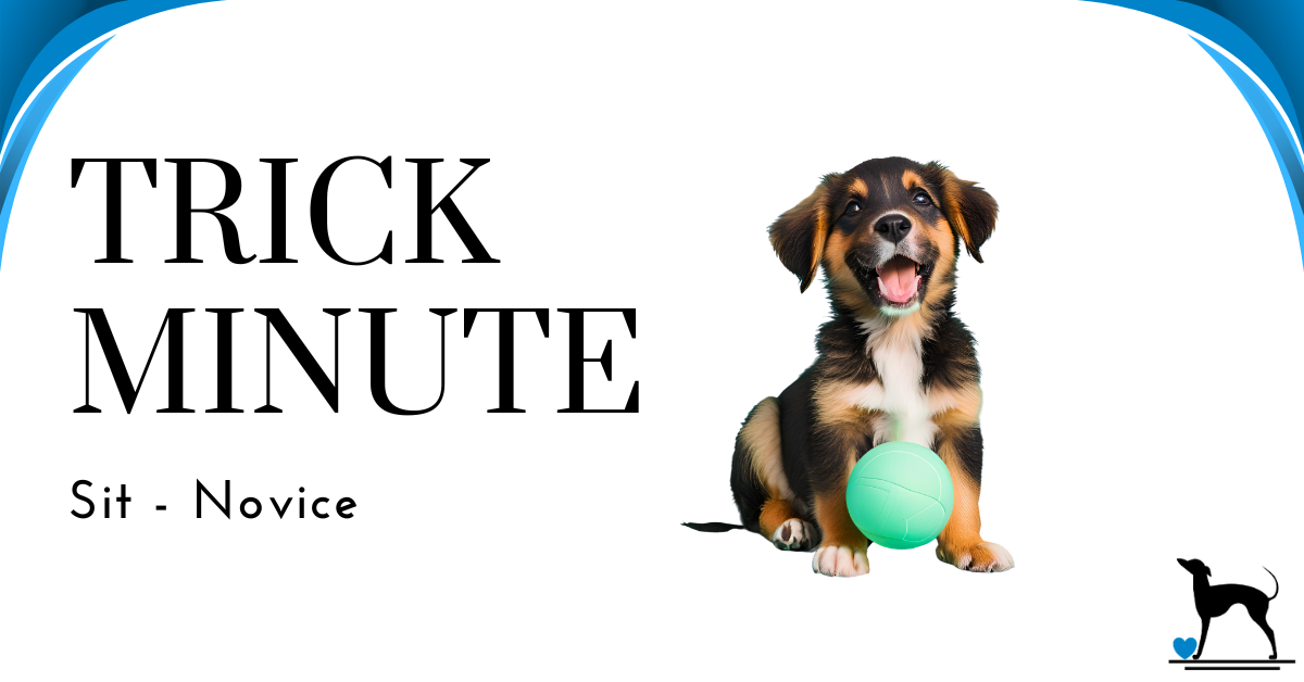 Trick Minute: Sit